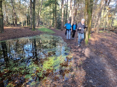 Waalwijk 2